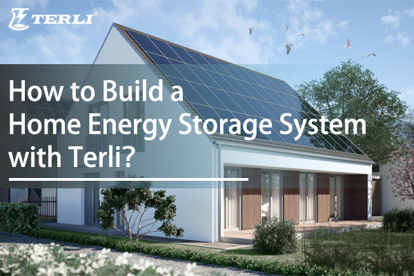 cover - How to Build a Home Energy Storage System with Terli?.jpg